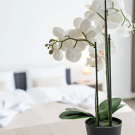 Szatmári Apartmanhotel Szekszárd